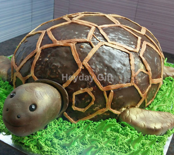 Tortoise Cake Topper 7.5 Inch PERSONALISED Edible on Icing Sheet with HIGH  RESOLUTION BACKGROUND IMAGE by Graphic Flavour - Walmart.com